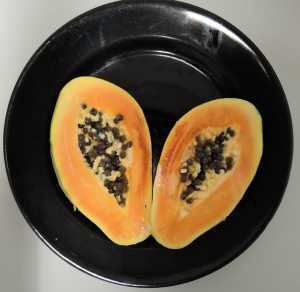 Papaya