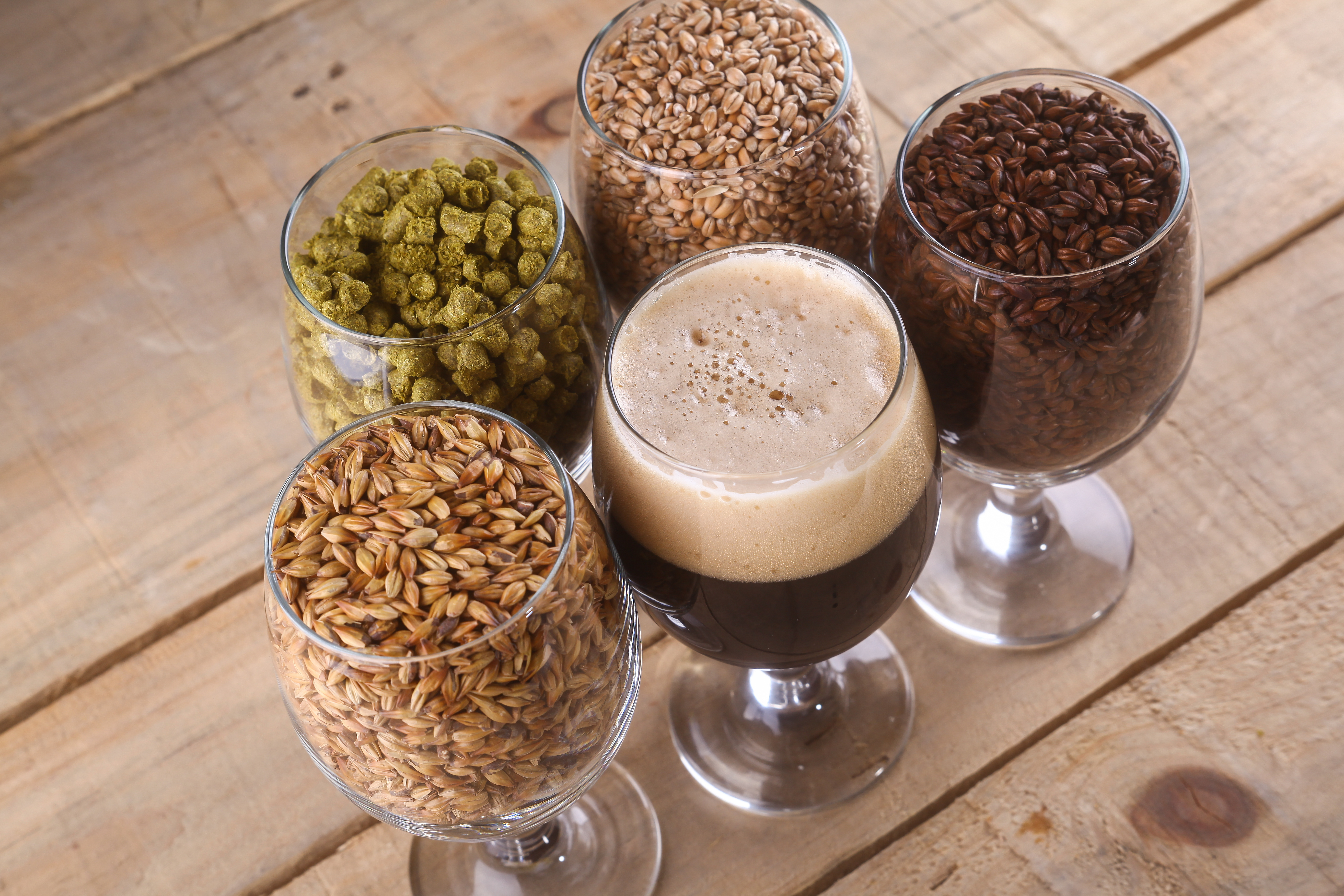 Trend Mikrobrauerei Was Man Beim Bierbrauen Zu Hause Beachten