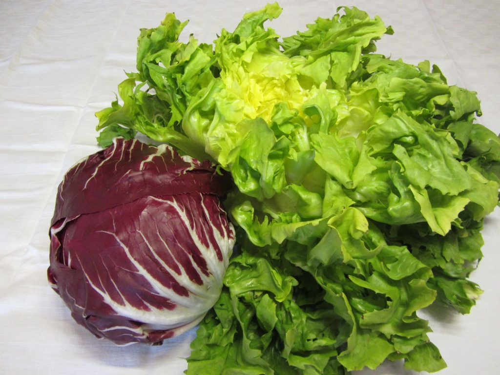 Bitterstoffe in Salat: Endiviensalatkopf, Radicchiosalatkopf