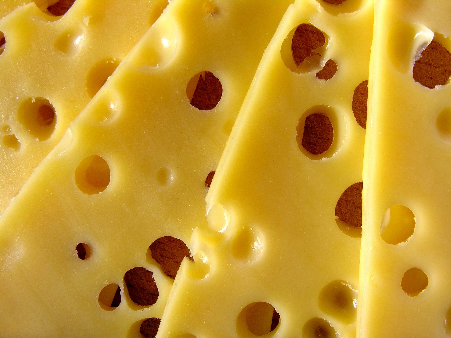 Wie entstehen die Löcher im Käse? Hungry for Science