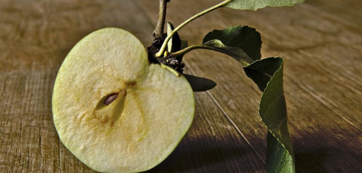 Aufgeschnittener Apfel, bei dem man Apfelkerne sieht