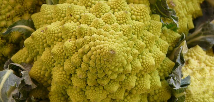 Romanesco, bei dem man fraktale Struktur gut erkennt