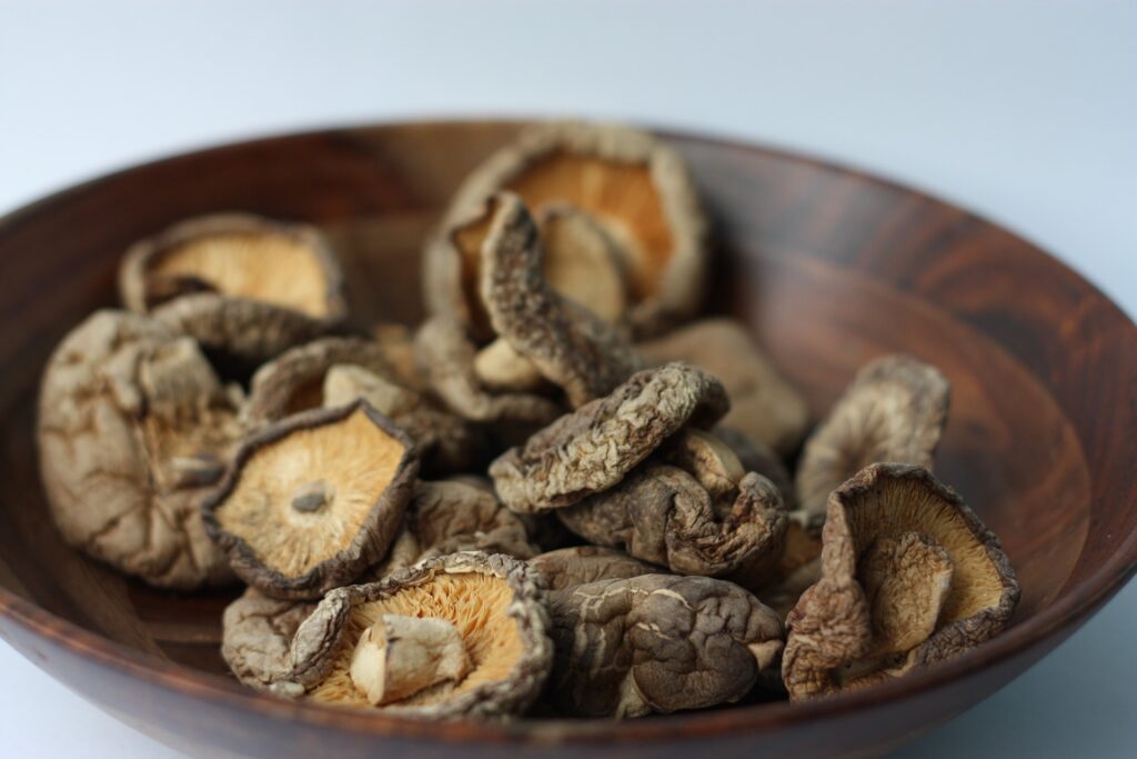 Getrocknete Shiitake-Pilze in einer Holzschüssel