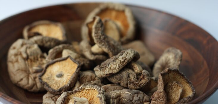 Getrocknete Shiitake-Pilze in einer Holzschüssel